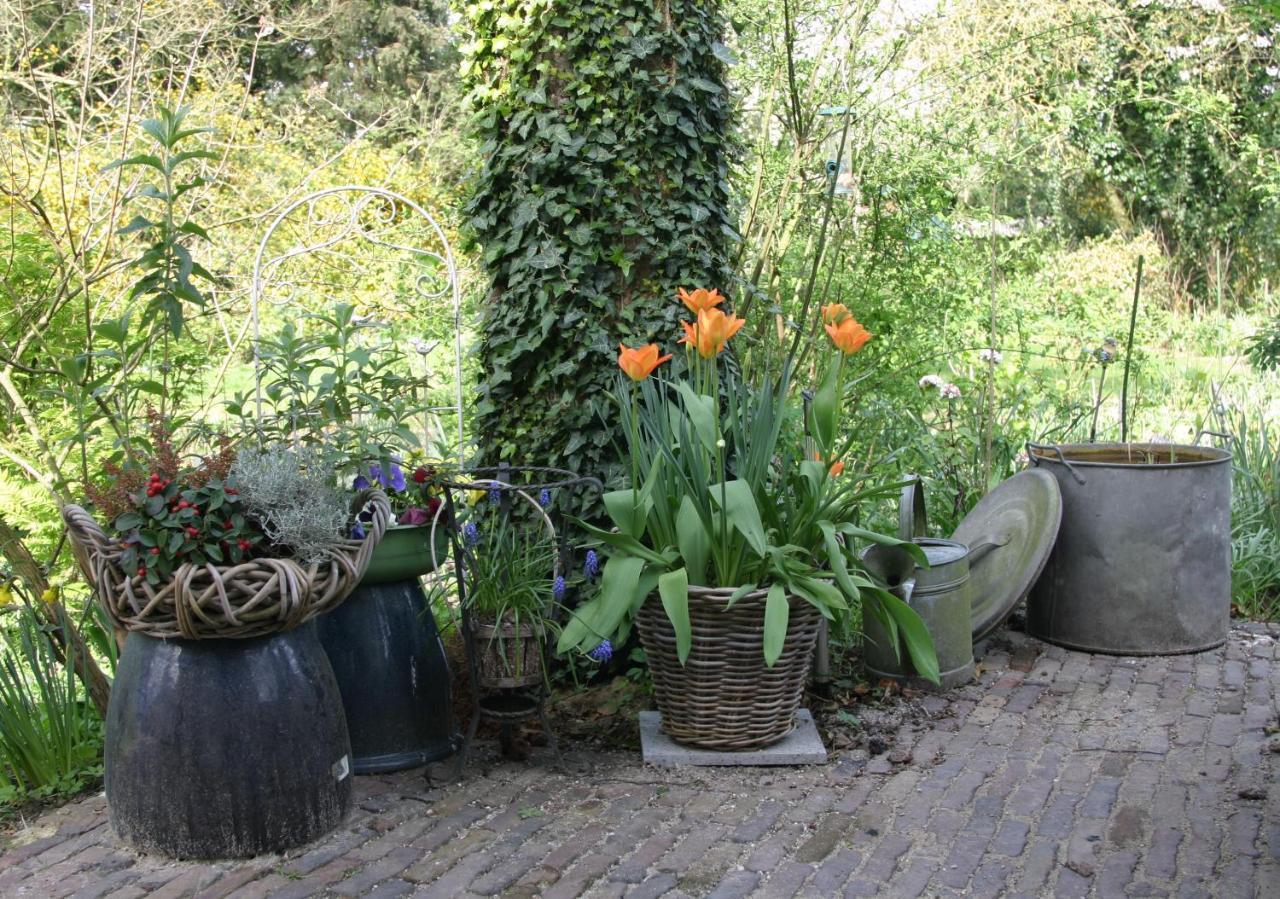 Bed and Breakfast Huys En Hoff Aen Den Haspel Oirschot Esterno foto